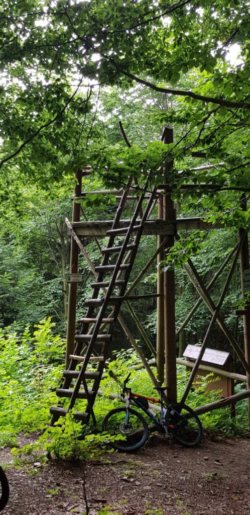 vyhladka-hrad-zborov